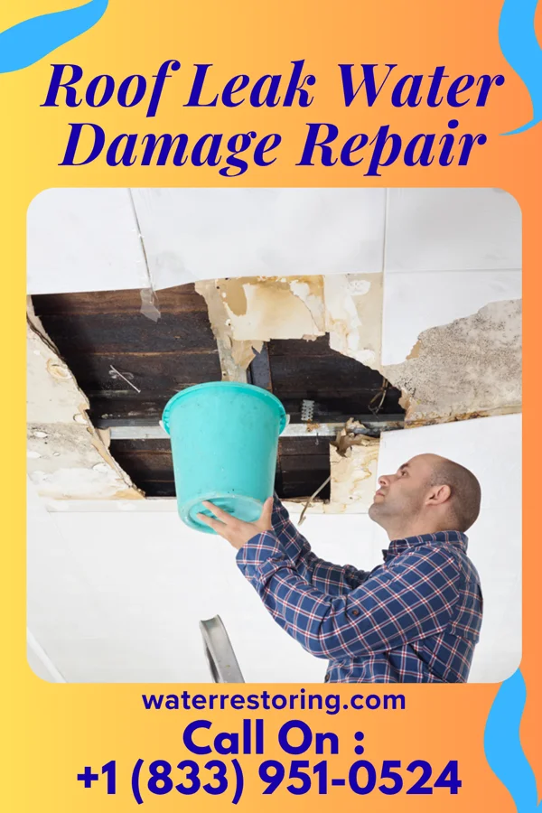 Roof Leak Water Damage Repair in Chaparrito, TX
